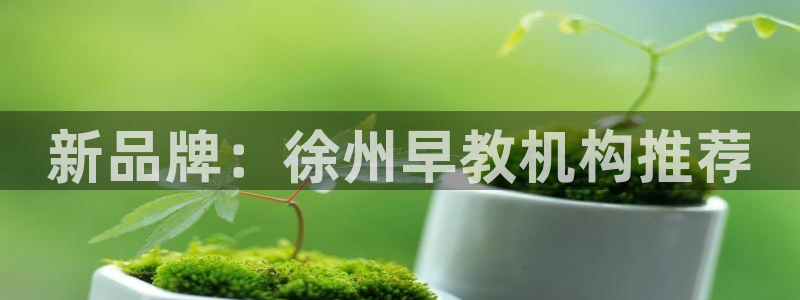 恒行娱乐5ll533主管优雅：新品牌：徐州早教机构推荐