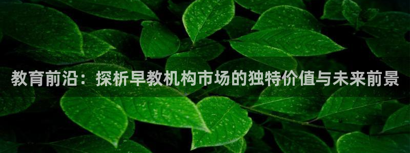 恒行2冯74OOO5:教育前沿:探析早教机构市场的独特价值与未来前景