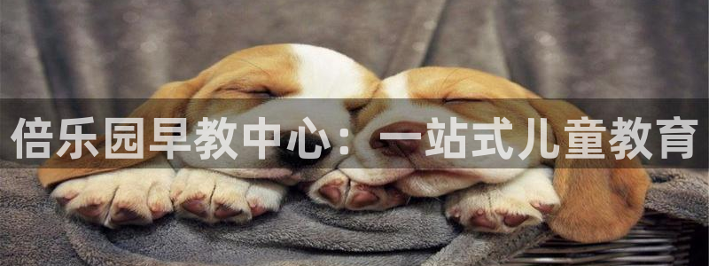 恒行2王74OOO5:倍乐园早教中心:一站式儿童教育