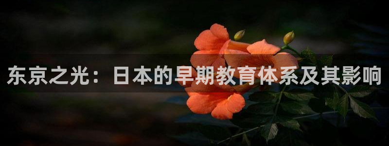 恒行主管首问6ll5l：东京之光：日本的早期教育体系及其影响