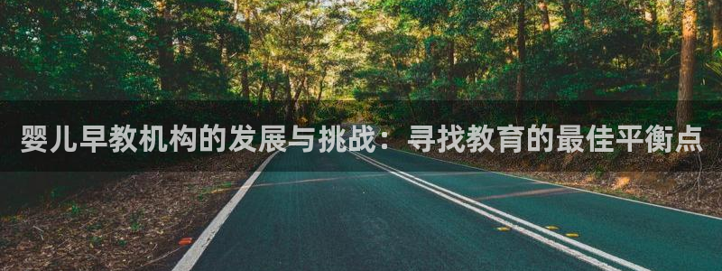 恒行2沈74OOO5：婴儿早教机构的发展与挑战：寻找教育的最佳平衡点