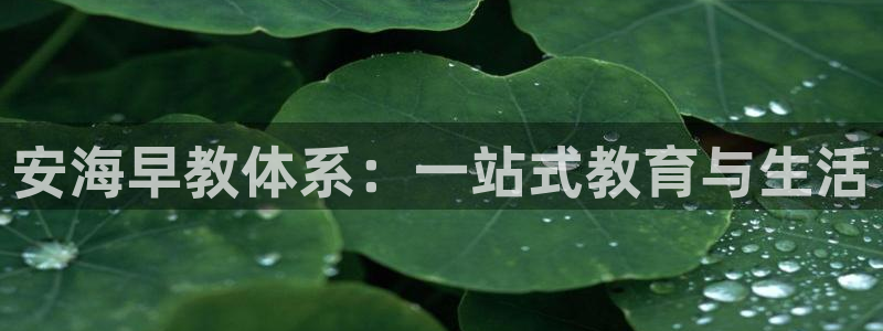 恒行娱乐鸟74ooo5判官：安海早教体系：一站式教育与生活