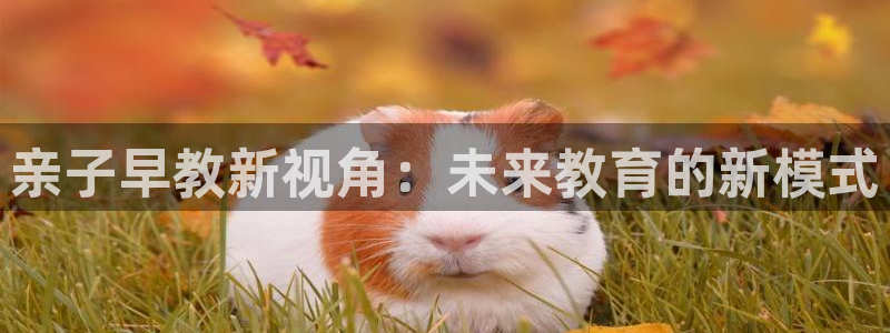 恒行2卫74OOO5：亲子早教新视角：未来教育的新模式