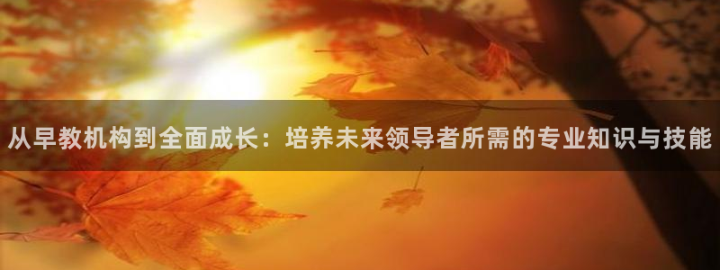 恒行注册全2O5O5O：从早教机构到全面成长：培养未来领导者所需的专业知识与技能