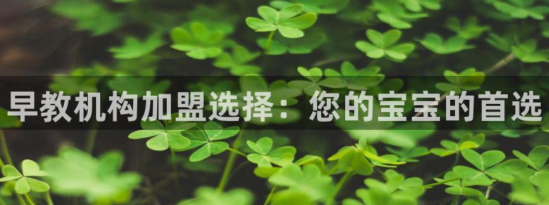 恒行娱乐周74OOO5：早教机构加盟选择：您的宝宝的首选