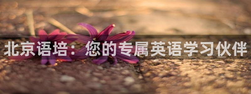 恒行娱乐蜗74ooo5指磁:北京语培:您的专属英语学习伙伴