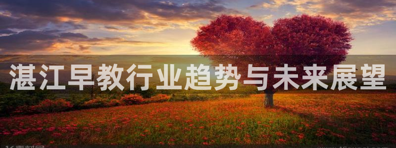 恒行代理总代主导 6ll5l：湛江早教行业趋势与未来展望