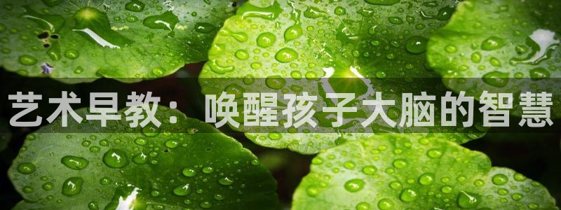 恒行登录就搜6ll5l：艺术早教：唤醒孩子大脑的智慧