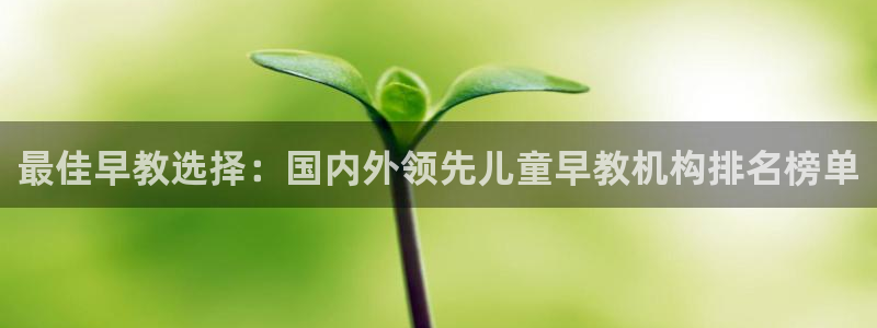 恒行娱乐景74ooo5诿抢：最佳早教选择：国内外领先儿童早教机构排名榜单