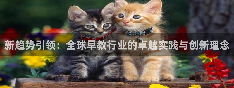 恒行招商老大诚挚 6ll5l：新趋势引领：全球早教行业的卓越实践与创新理念