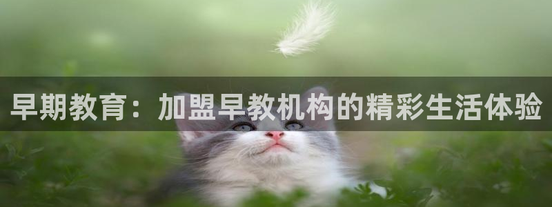 恒行娱乐蒋74OOO5：早期教育：加盟早教机构的精彩生活体验