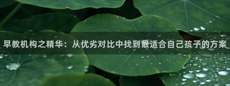 恒行开户娱乐6ll5l特惠：早教机构之精华：从优劣对比中找到最适合自己孩子的方案