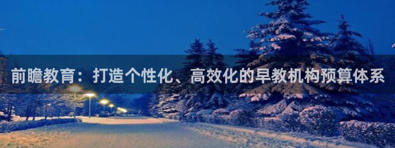 恒行2地74OOO5：前瞻教育：打造个性化、高效化的早教机构预算体系