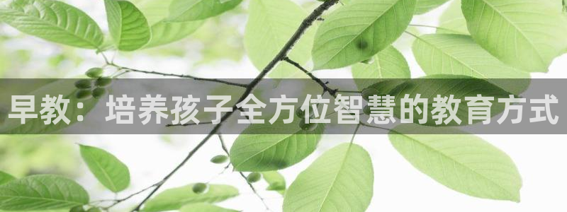 恒行娱乐度74ooo5聘霖：早教：培养孩子全方位智慧的教育方式