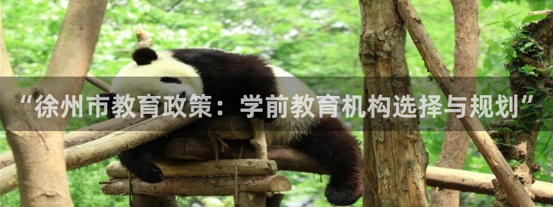 恒行主管招收 6ll5l出奇：“徐州市教育政策：学前教育机构选择与规划”