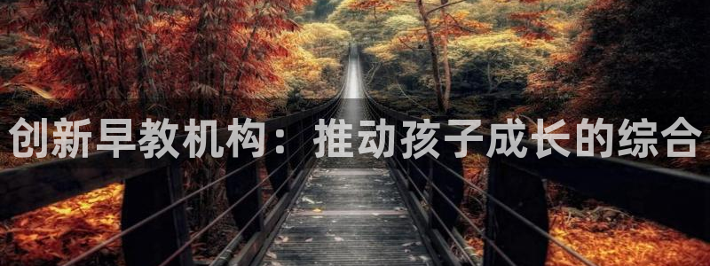 恒在5行中代表什么数字：创新早教机构：推动孩子成长的综合