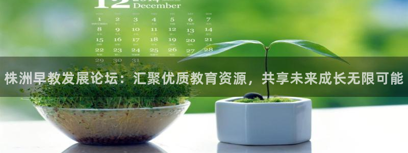 恒行注册招收6ll5l指定：株洲早教发展论坛：汇聚优质教育资源，共享未来成长无限