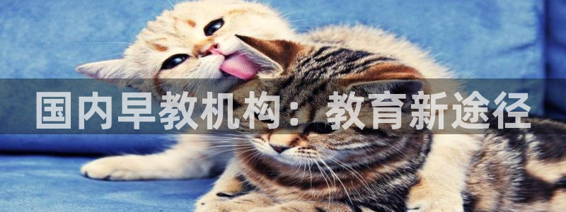 恒行娱乐热74ooo5主宰：国内早教机构：教育新途径