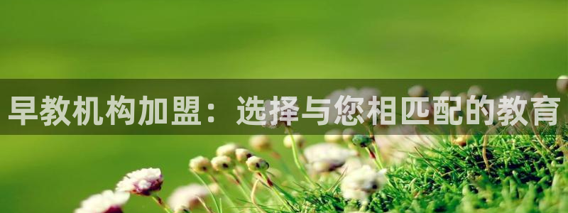 恒行娱乐度74ooo5聘霖：早教机构加盟：选择与您相匹配的教育