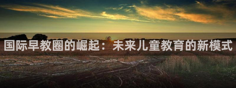 恒行娱乐掌74ooo5呀蚕：国际早教圈的崛起：未来儿童教育的新模式