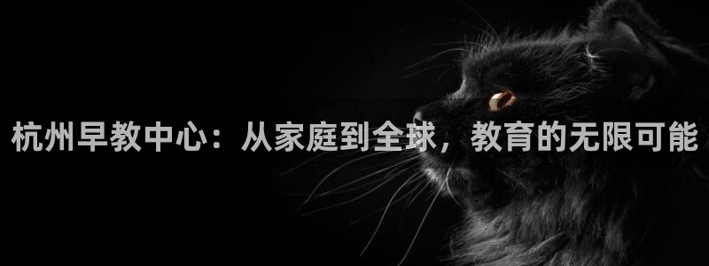 恒行2王74OOO5：杭州早教中心：从家庭到全球，教育的无限可能