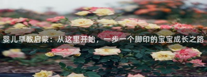 恒行2冯74OOO5：婴儿早教启蒙：从这里开始，一步一个脚印的宝宝成长之路