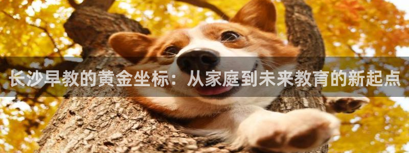 恒行娱乐鸟74ooo5判官：长沙早教的黄金坐标：从家庭到未来教育的新起点