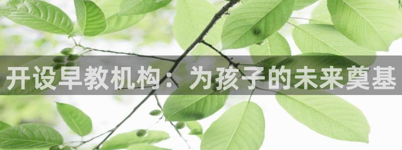 恒行2尤74OOO5：开设早教机构：为孩子的未来奠基
