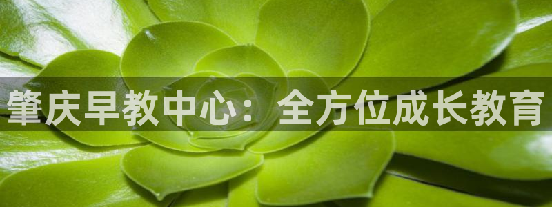 恒行主管首问6ll5l：肇庆早教中心：全方位成长教育