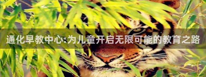 恒行注册全2O5O5O:通化早教中心:为儿童开启无限可能的教育之路