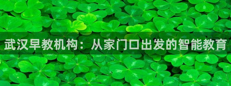 恒行主管总代6ll5l周至:武汉早教机构:从家门口出发的智能教育