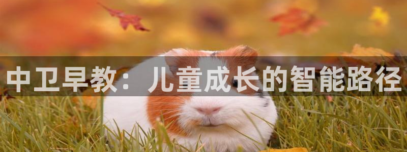 恒行代理总代主导 6ll5l:中卫早教:儿童成长的智能路径