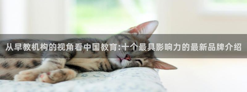恒行娱乐冯74OOO5:从早教机构的视角看中国教育:十个最具影响力的最新品牌介绍