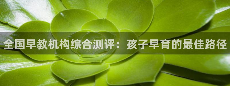 恒行注册招收6ll5l指定：全国早教机构综合测评：孩子早育的最佳路径