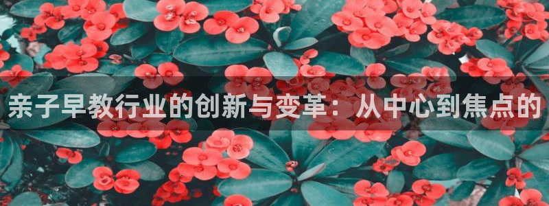 恒行代理总代主导 6ll5l:亲子早教行业的创新与变革:从中心到焦点的