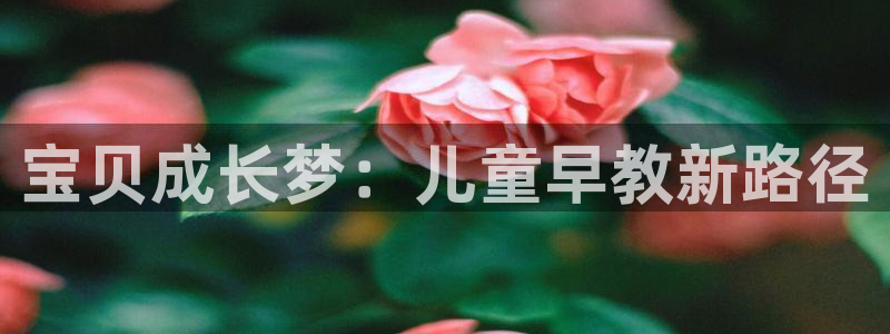 恒行5：宝贝成长梦：儿童早教新路径